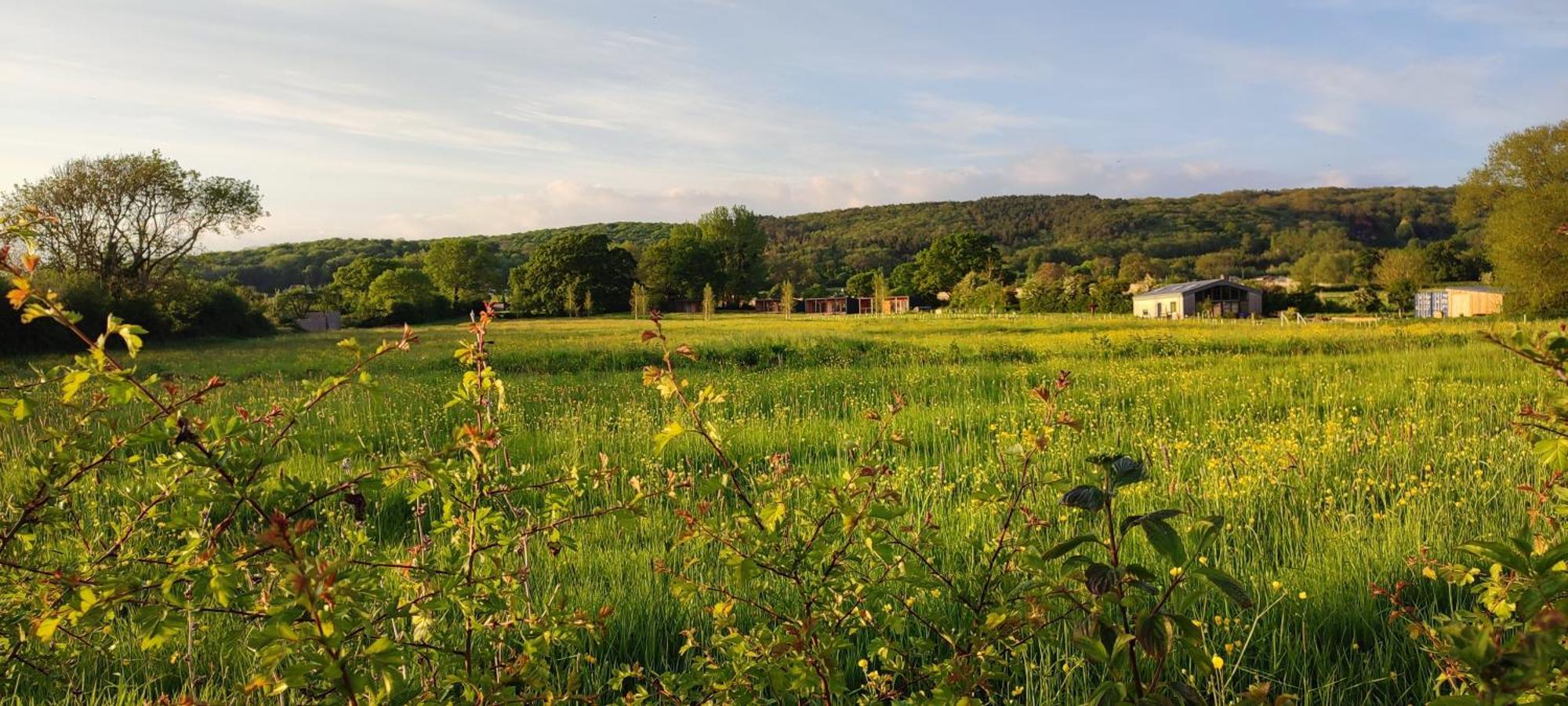 Eco Cabin With Lovely View Of Mendips Aonb Cabin N 1 Congresbury Esterno foto